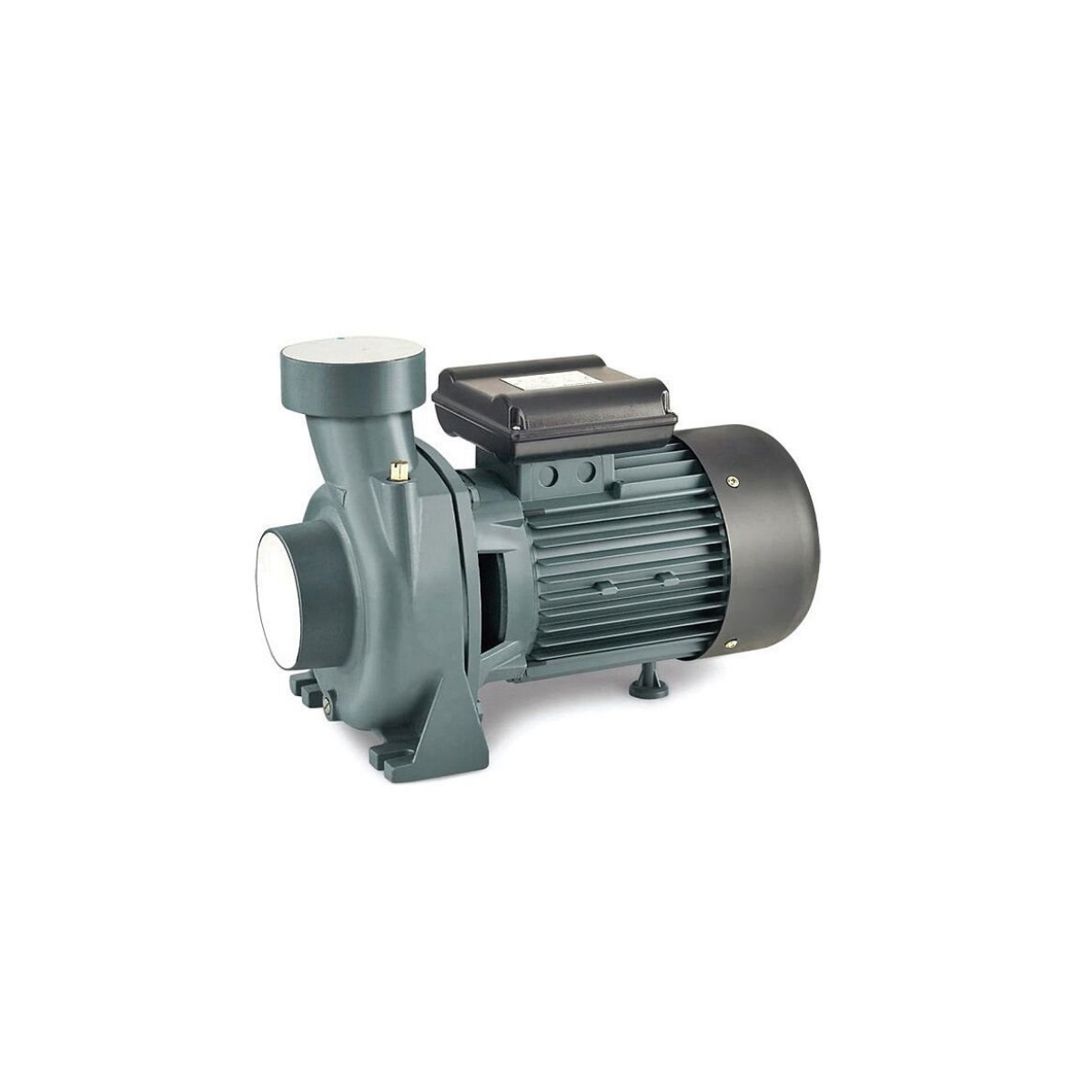 Rain Pump CPM170 Santrifuj Su Pompası 1.5 Hp